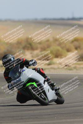 media/Sep-16-2023-2WTD (Sat) [[60417edbeb]]/B Group/Session 6 (Turn 16)/